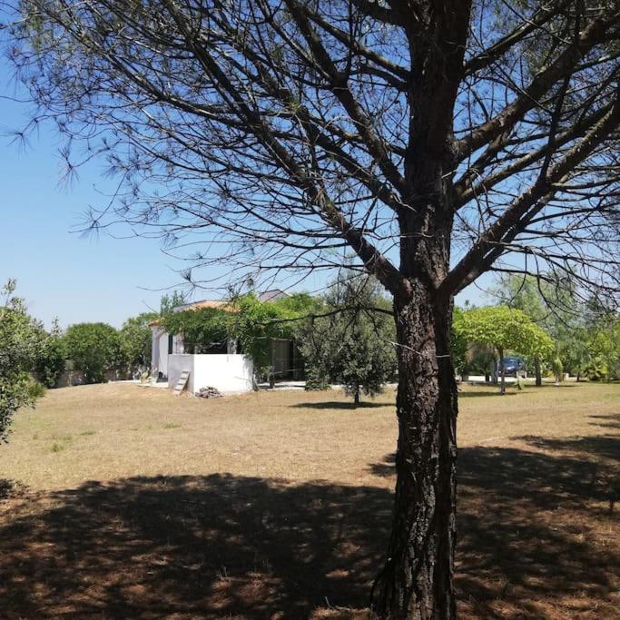 Villa Del Glicine Muro Leccese Bagian luar foto