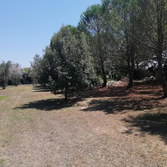 Villa Del Glicine Muro Leccese Bagian luar foto